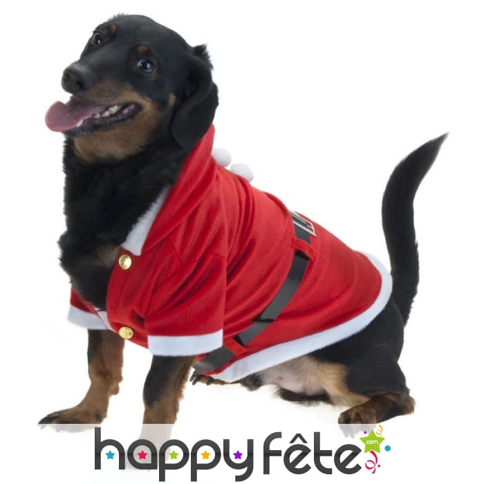 Manteau de père Noël pour chien