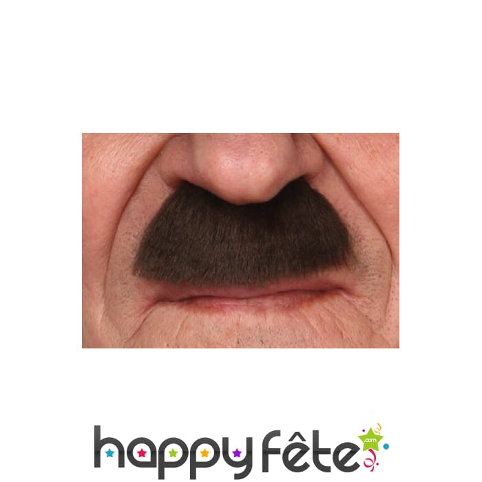 Moustaches dupond, tintin