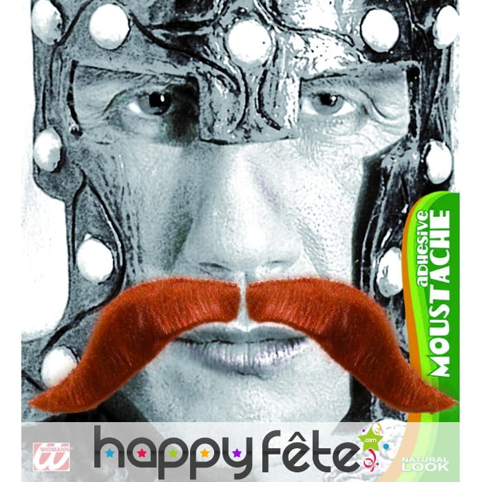 Moustaches de vicking