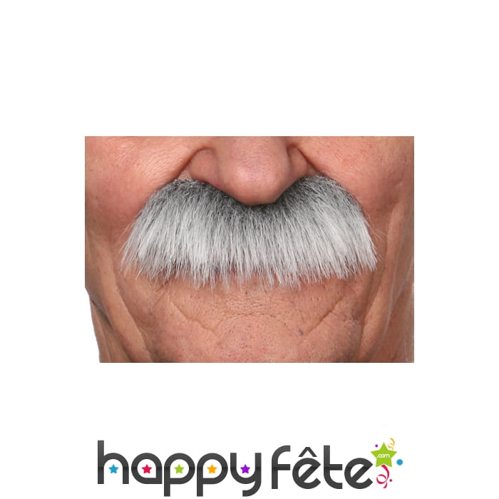 Moustaches de vieillard