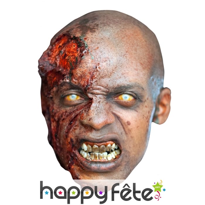 Masque de zombie en carton plat, Walking Dead