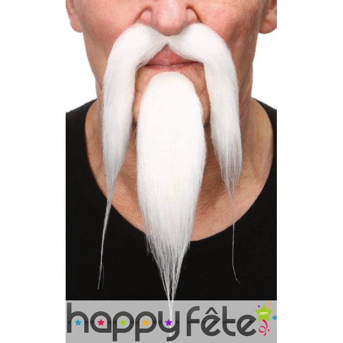 Moustache et bouc blanc de chinois