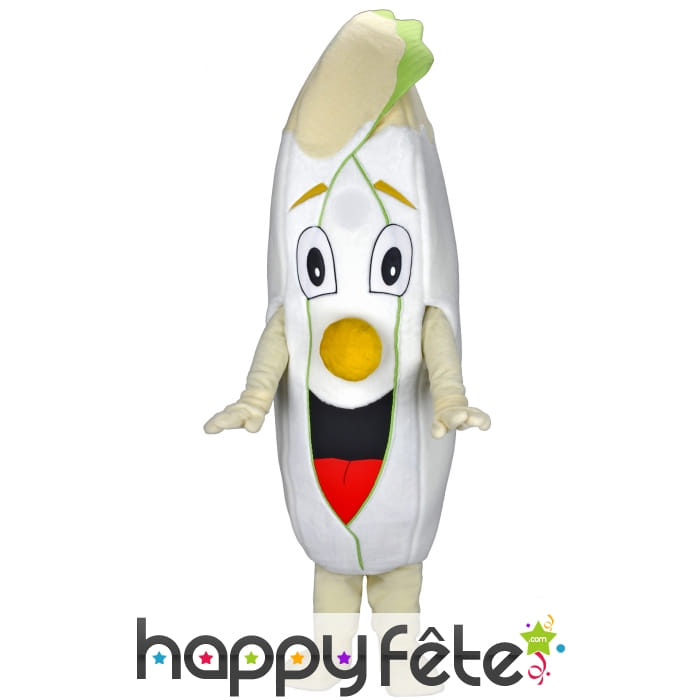 Mascotte endive (chicon)