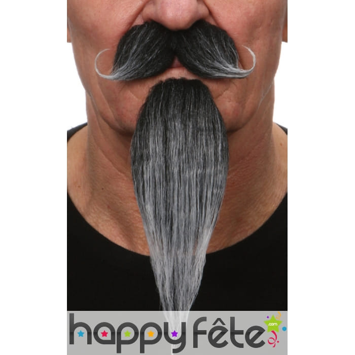 Mousaches et longue barbichette poivre et sel