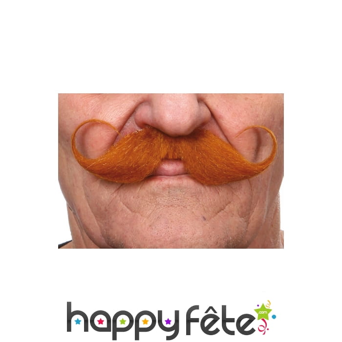 Moustaches francaise rousses