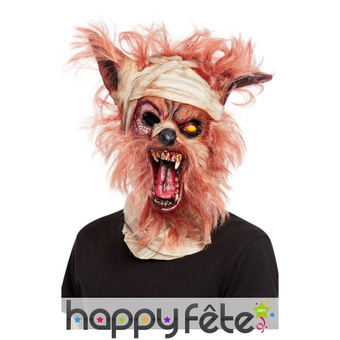 Masque intégral de loup garou zombie pour adulte