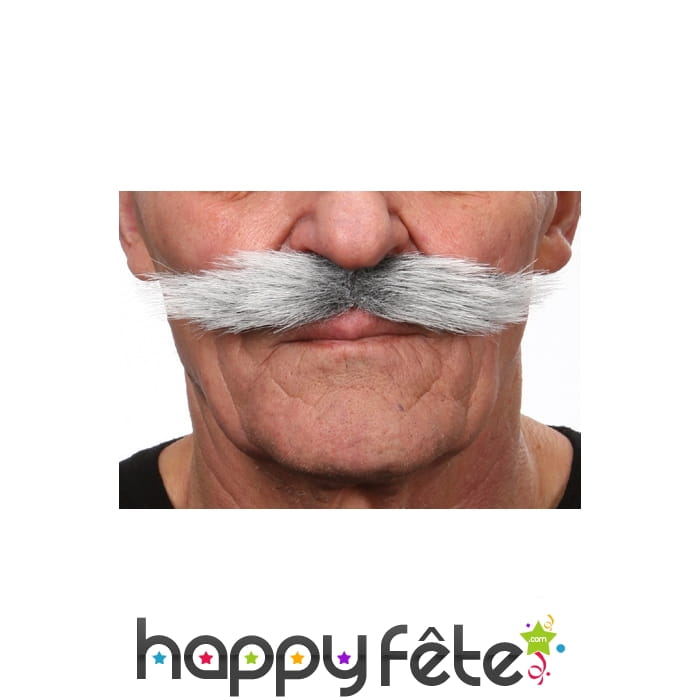 Moustaches italiennes grises