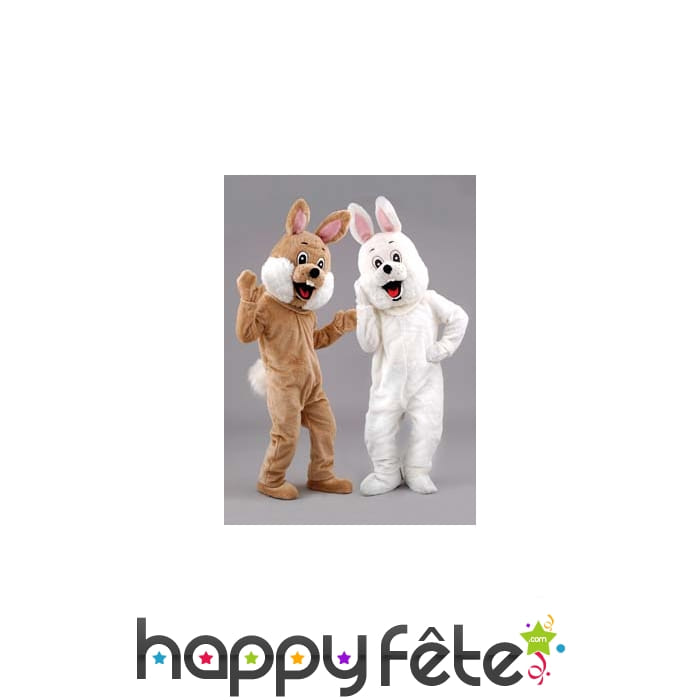 Mascotte lapin blanc ou brun