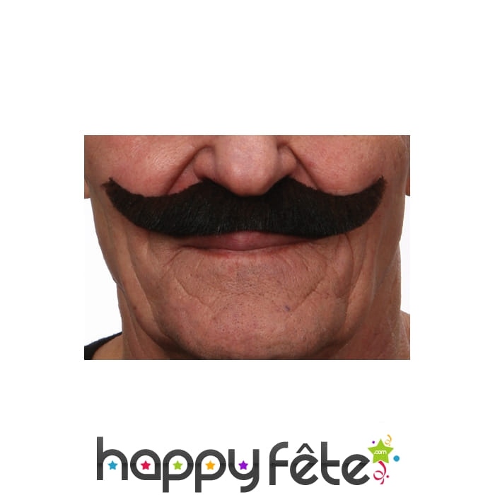 Moustaches norway brunes