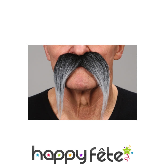 Moustaches poivre et sel tombantes