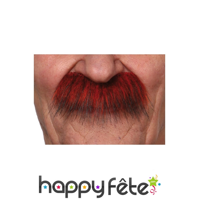 Moustaches rousses épaisses