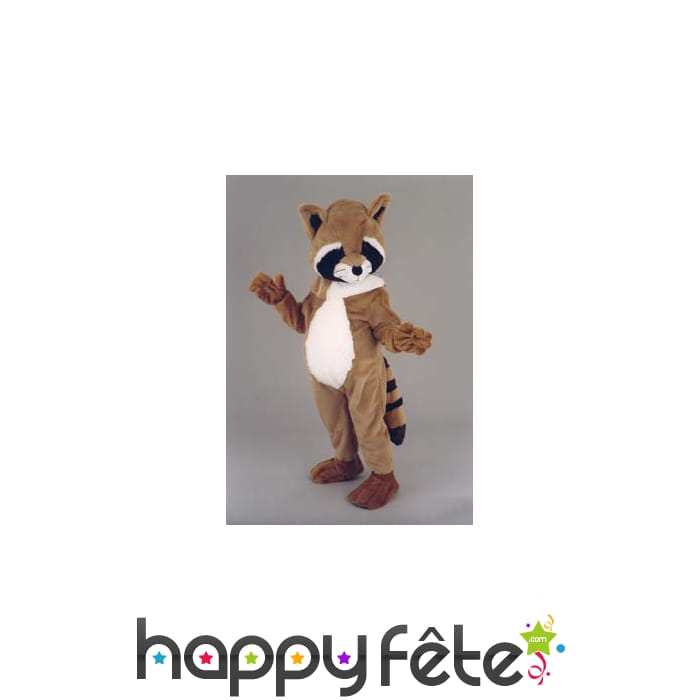 Mascotte raton laveur