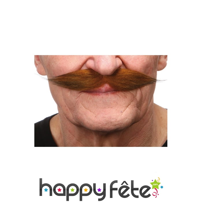 Moustaches rousses style 19eme