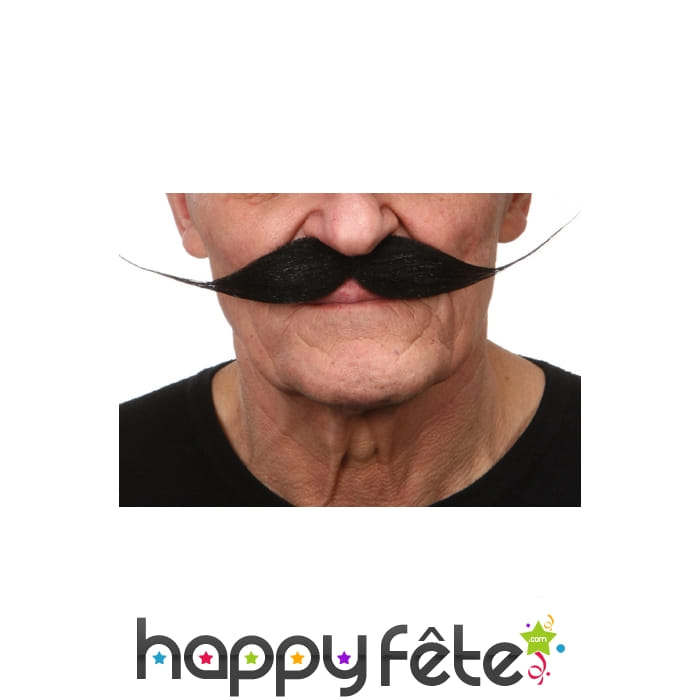 Moustaches salvator dali