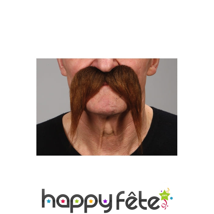 Moustaches tombantes chatain