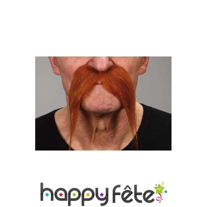 Moustaches tombantes rousses
