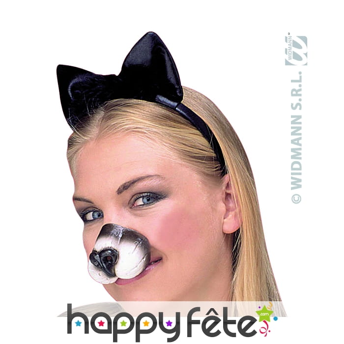 Nez de chat