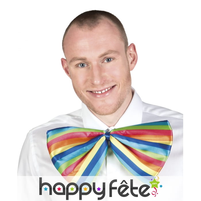 Noeud papillon géant et multicolore