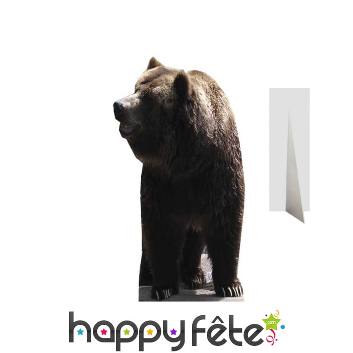 Ours brun en carton taille réelle