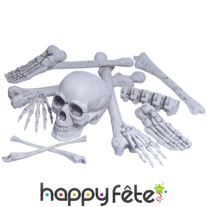 Os et crâne réalistes, décoratifs