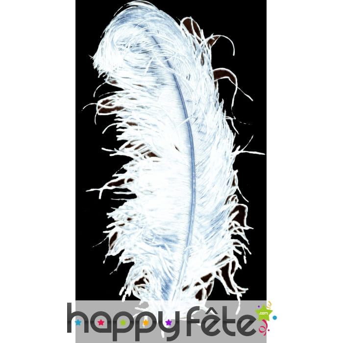 Plume autruche blanche extra 50 cm