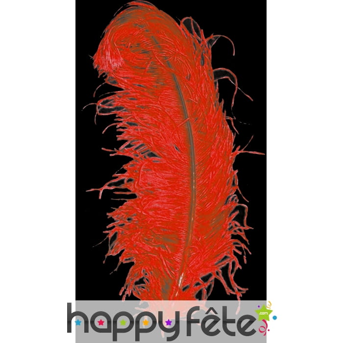Plume autruche rouge extra 50 cm