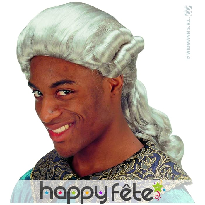 Perruque baroque grise