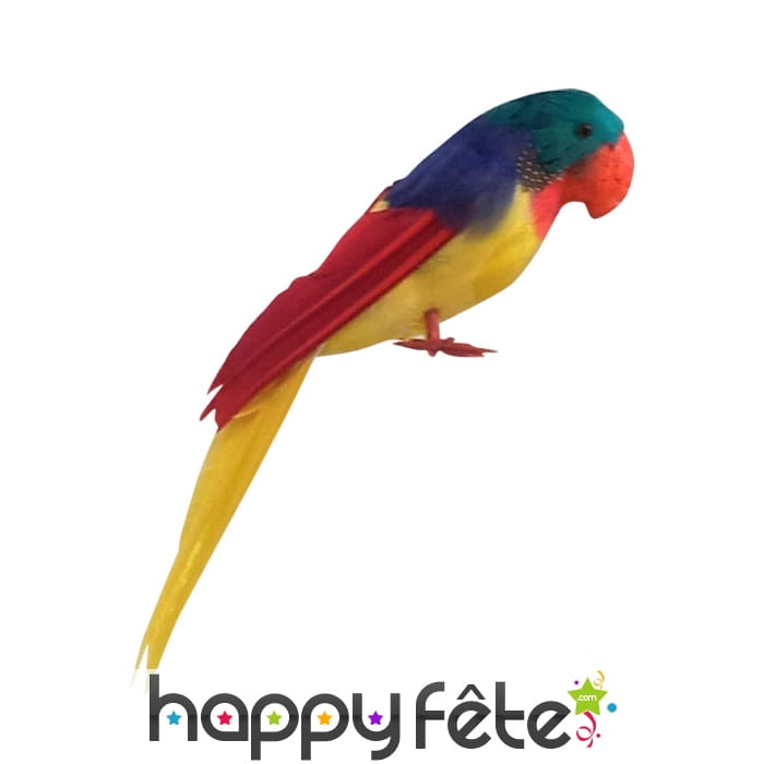 Perroquet coloré décoratif