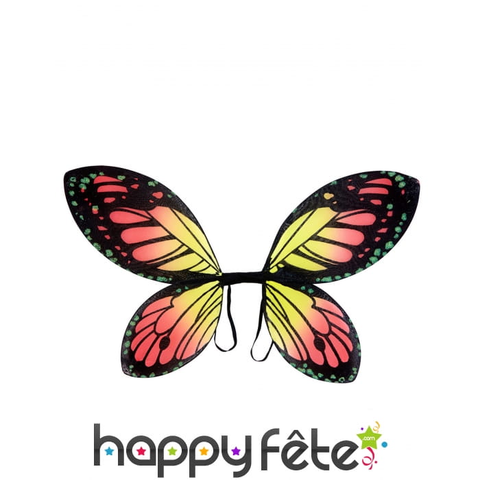 Paire d'ailes de papillon coloré pour enfant