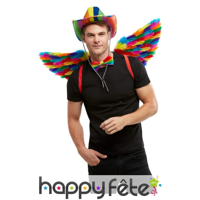 Paire d'ailes GayPride avec plumes, 80cm