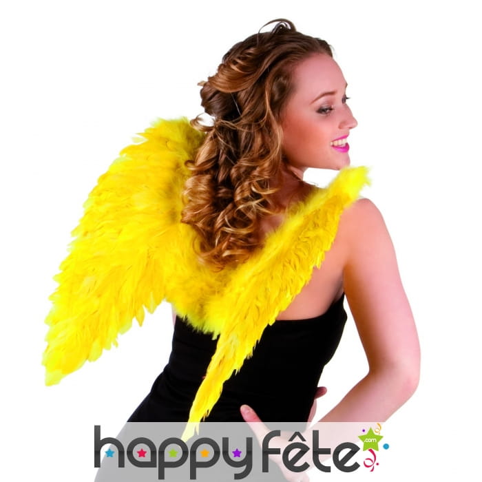 Paire d'ailes jaunes de 50cm pour adulte