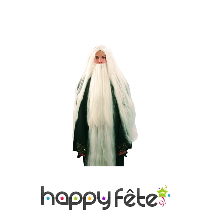 Perruque druide avec barbe blanche