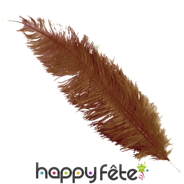 Plume d'autruche marron