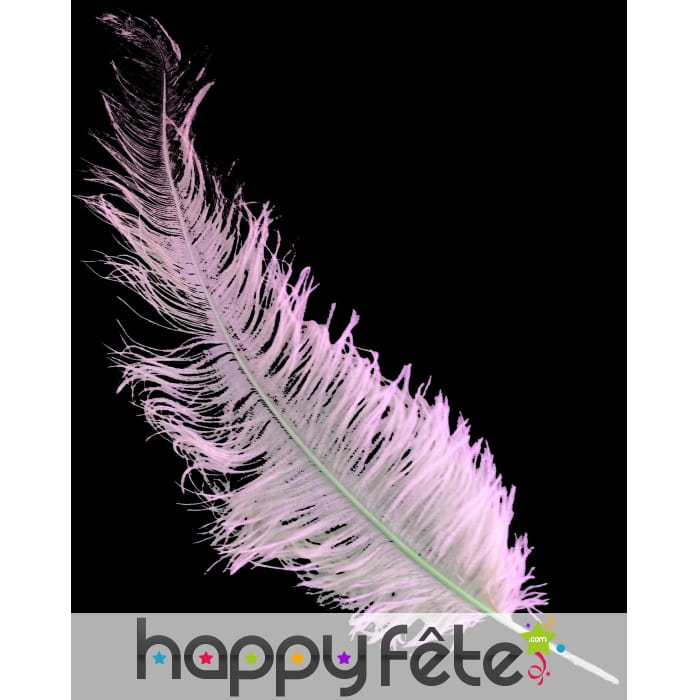 Plume d'autruche rose