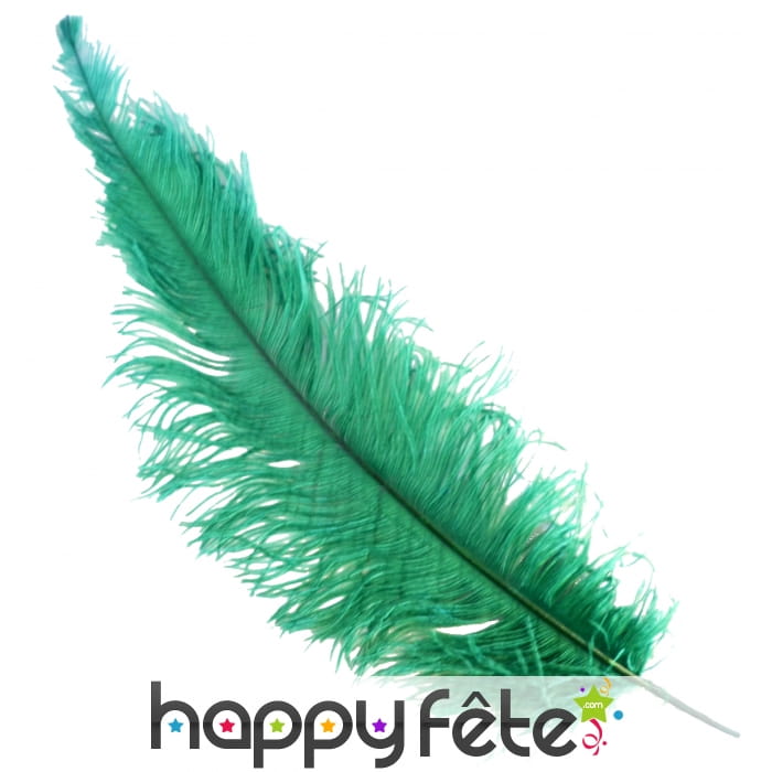 Plume d'autruche verte
