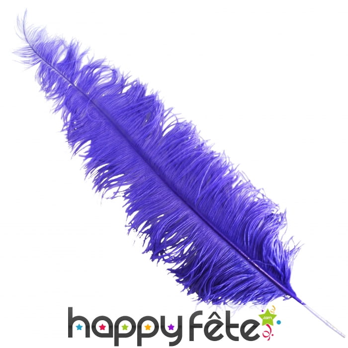 Plume d'autruche violette