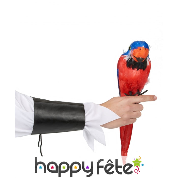 Perroquet d'épaule décoratif