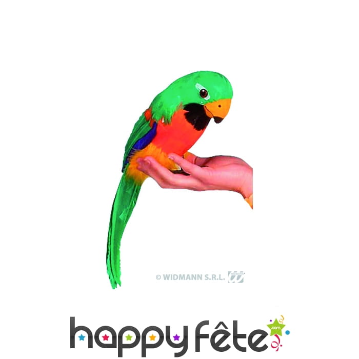 Perroquet décoration exotique