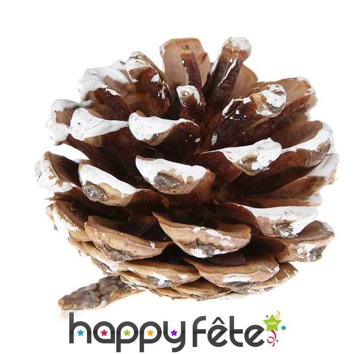Pomme de pin décorative et colorée de blanc