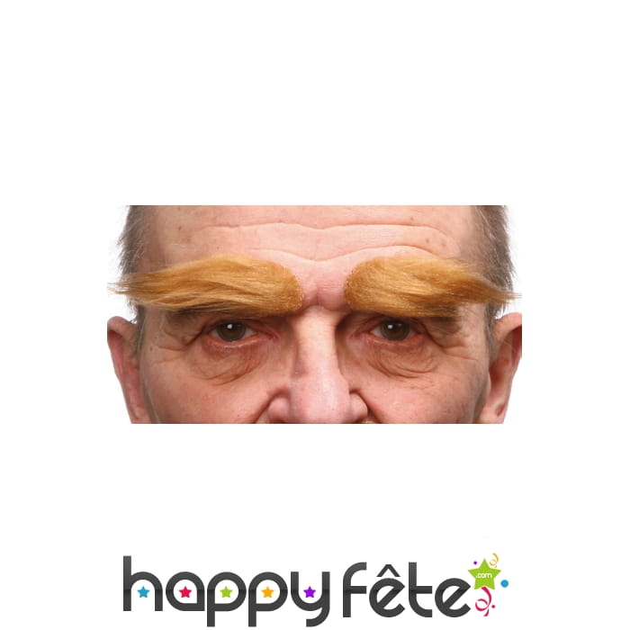 Paire de sourcils blonds