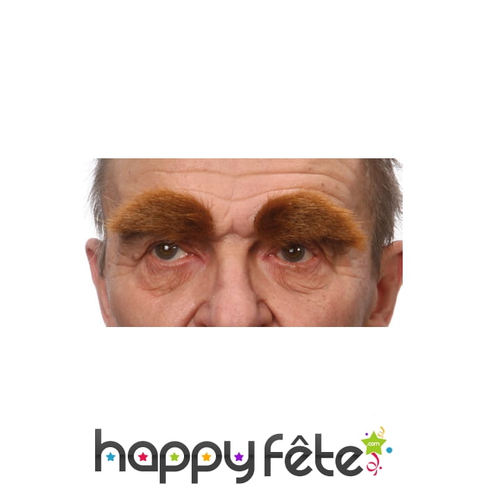 Paire de sourcils chatains