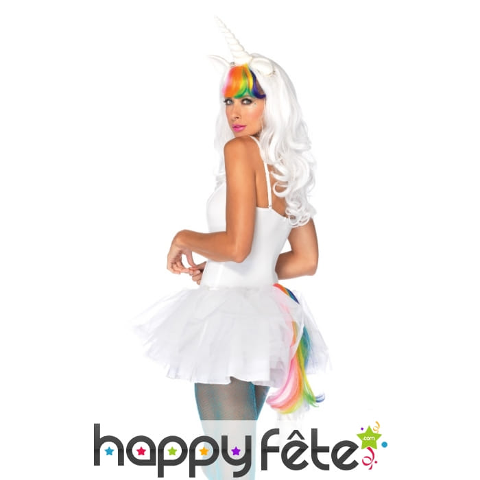 Perruque et queue de licorne colorée