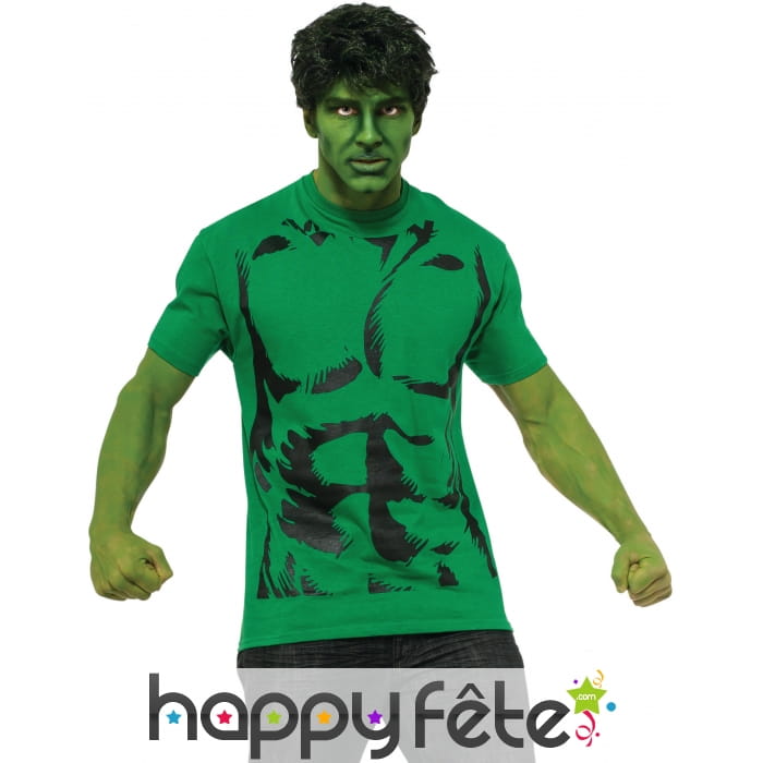 Perruque et T-shirt de Hulk pour homme