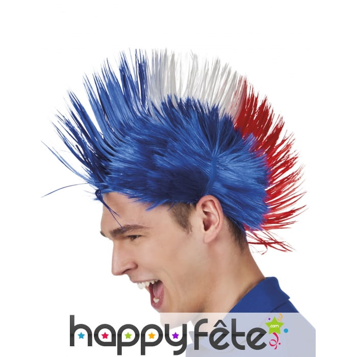 Perruque France punk