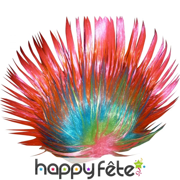 Perruque punk multicolore