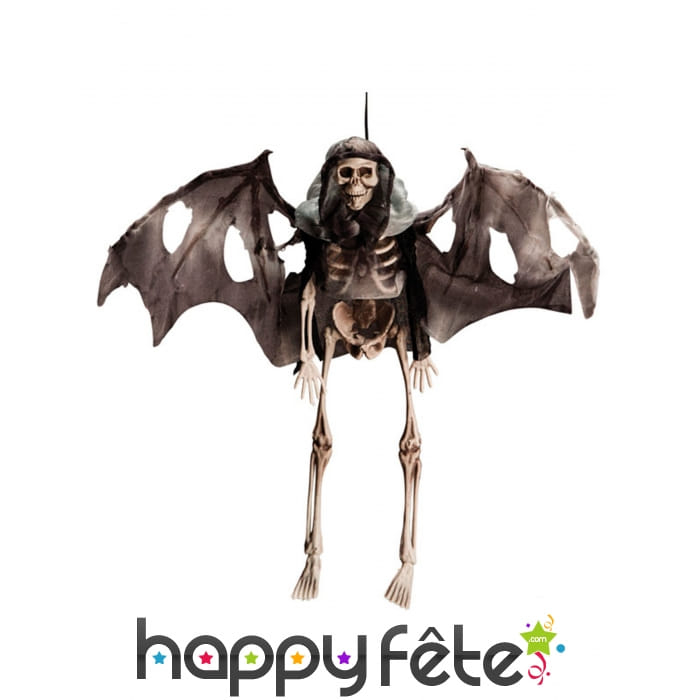 Petite suspension d'un squelette ailé