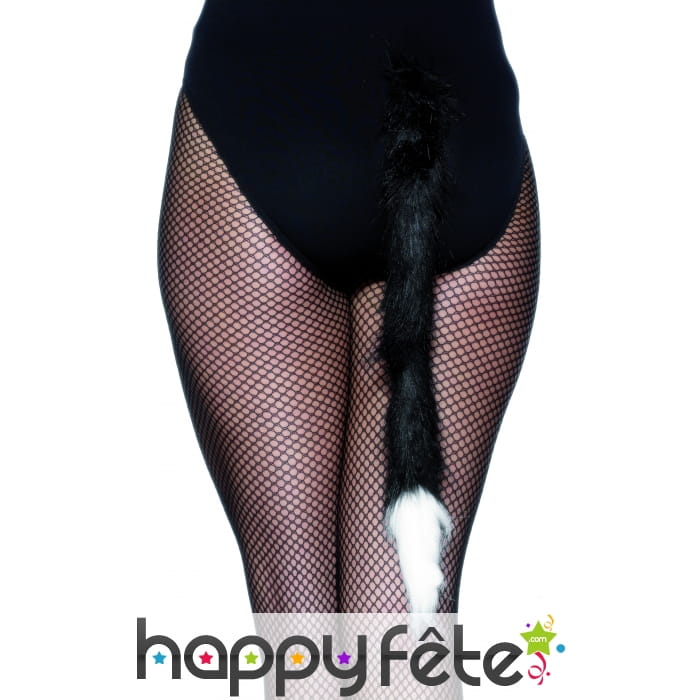 Queue de chat blanche et noire