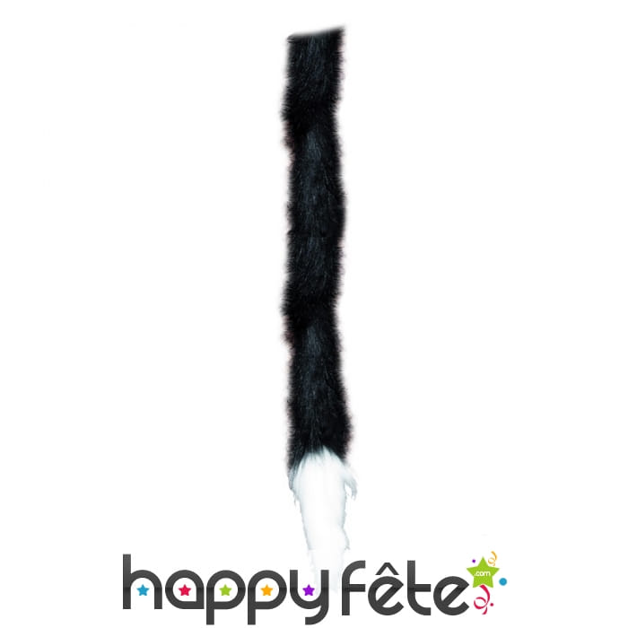 Queue de chat noire bout blanc