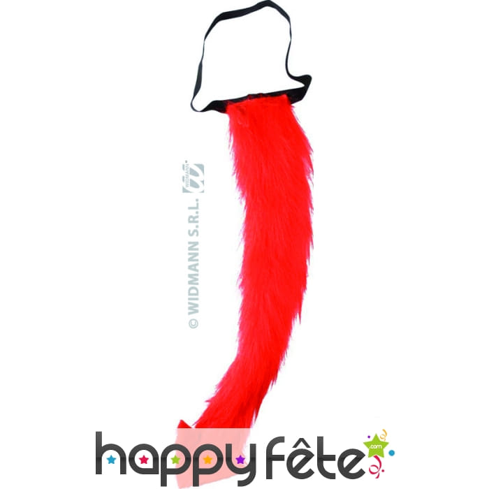 Queue de diable munie d'une pointe modulable