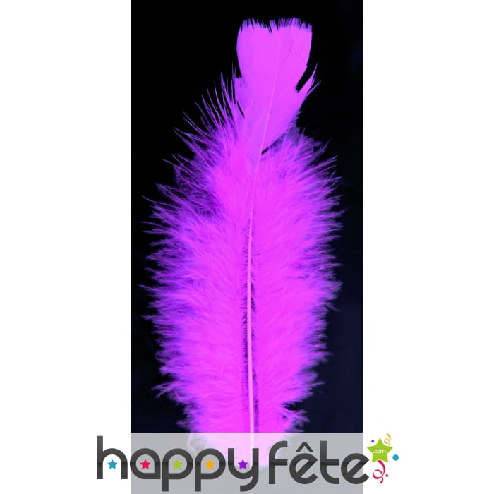 Sachet 100 plumes fuschia pied plat 15 cm